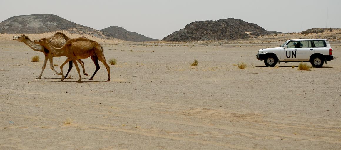 A UN vehicle drives through the desert, passing two camels