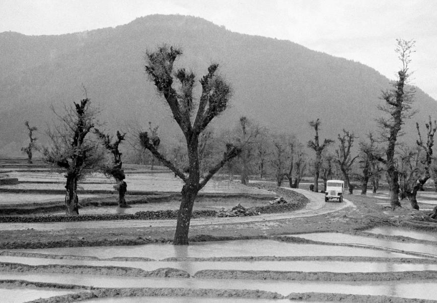 A UN jeep drives along a winding road through flooded rice fields with bare trees, set against a backdrop of forested hills.